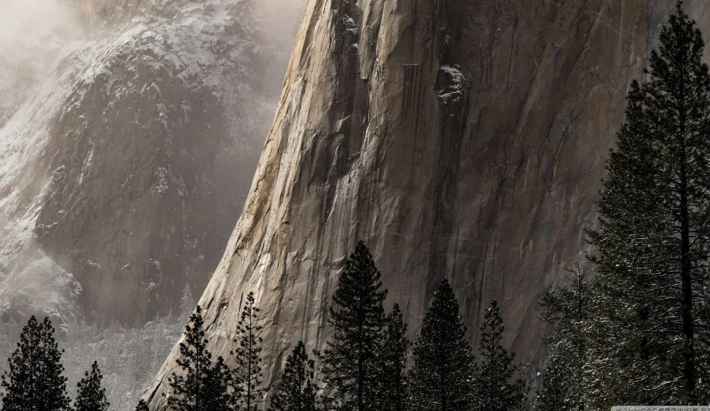 Ortlieb Rack Pack | Holdall Review