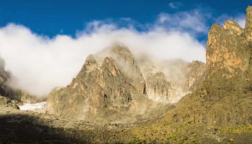 Of Choss and Lions | Video