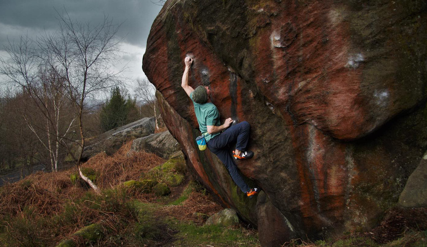 Boreal | Brand Profile