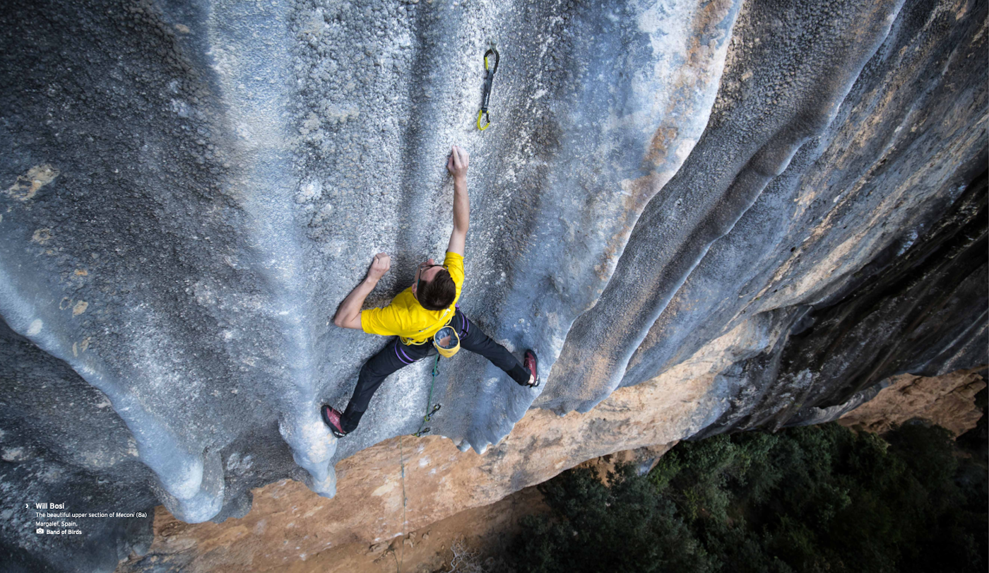 forging ahead cover photo