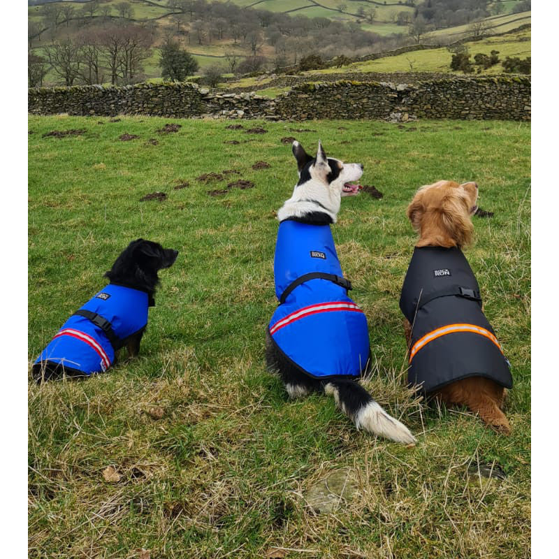 Rock+Run Dogs Fell Jacket