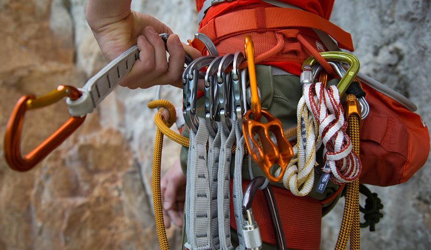 Harness with climbing gear
