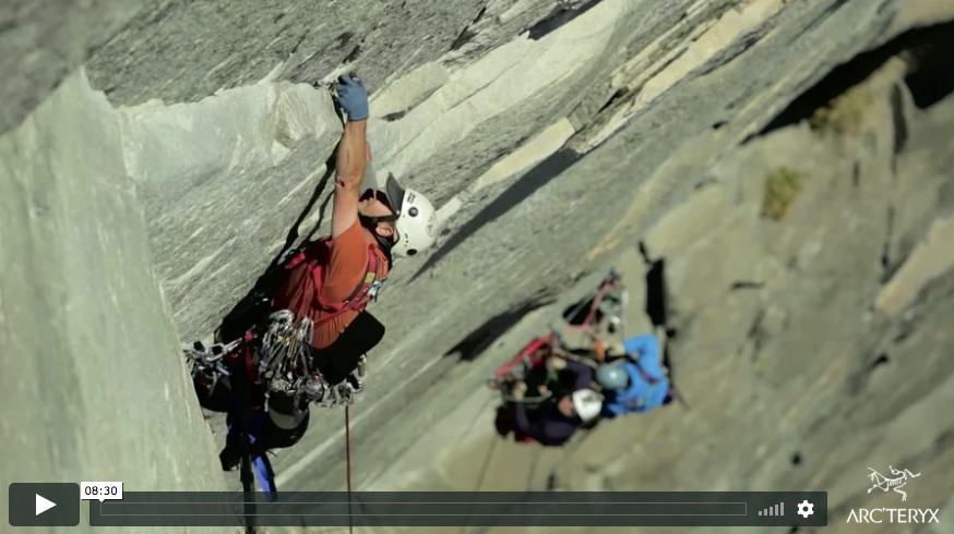 Gimp Monkeys | Video