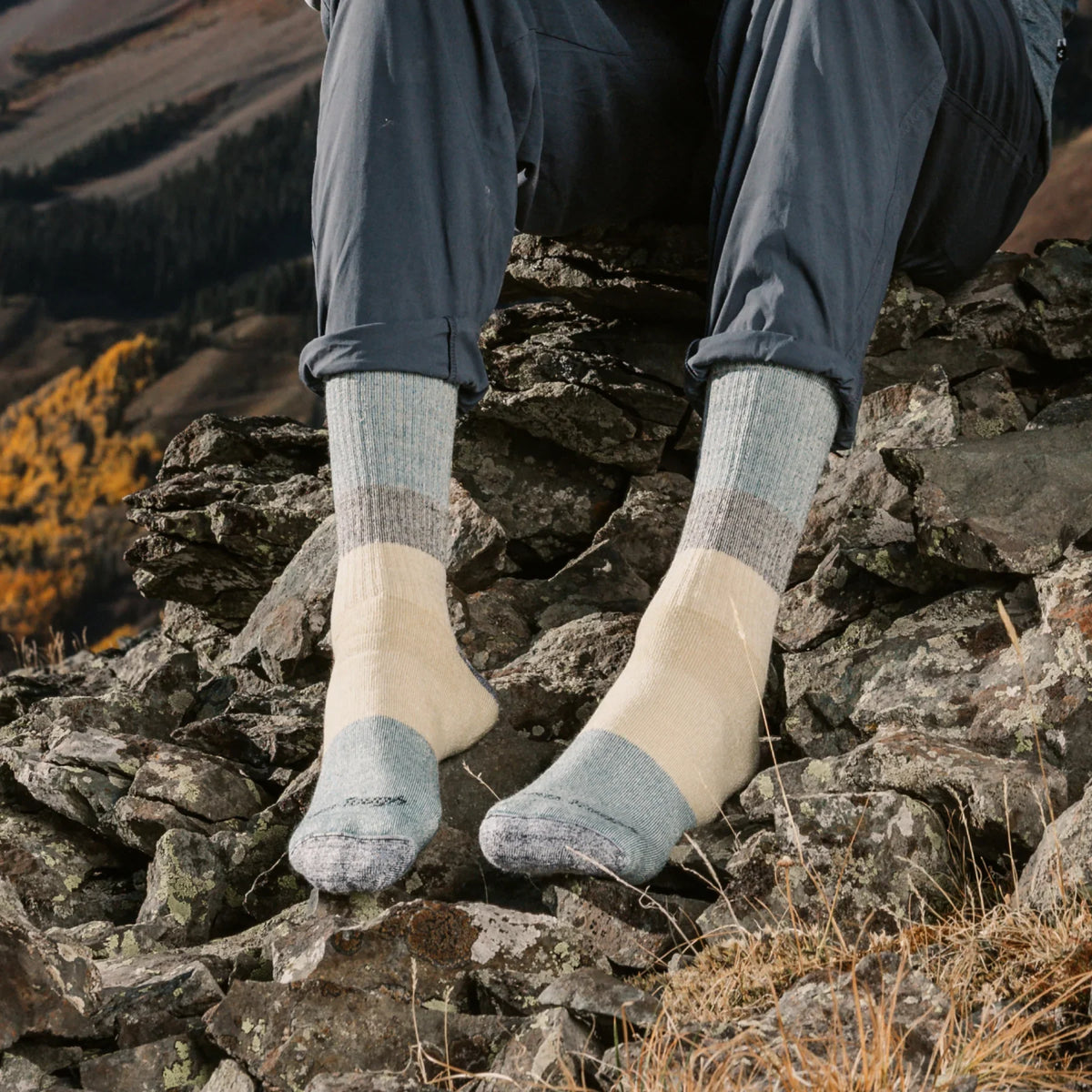 Darn Tough Mountaineering Micro Crew Extra Cushion