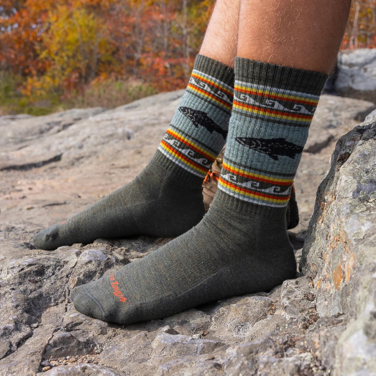 Darn Tough VanGrizzle Hiker Boot Sock Midweight Cushion