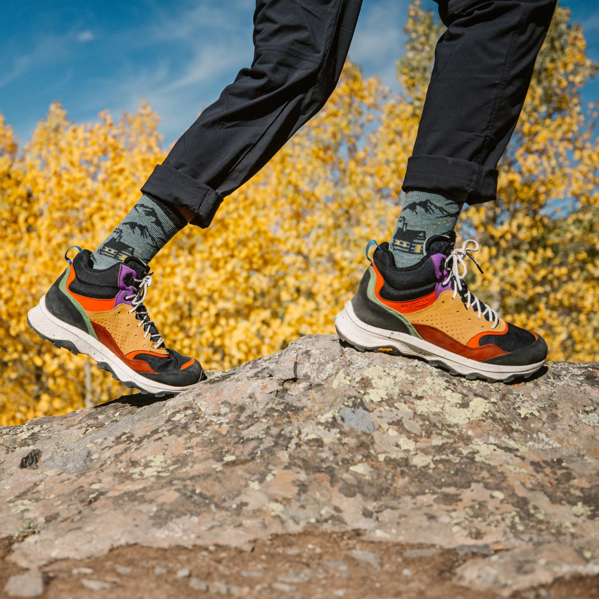 Darn Tough Hike Hike Hut Micro Crew Midweight Hiking Socks with Cushion