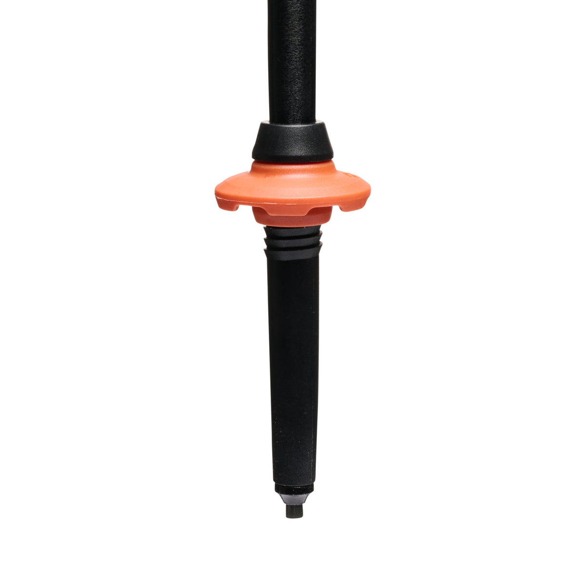 Black Diamond Trail Cork Trekking Poles