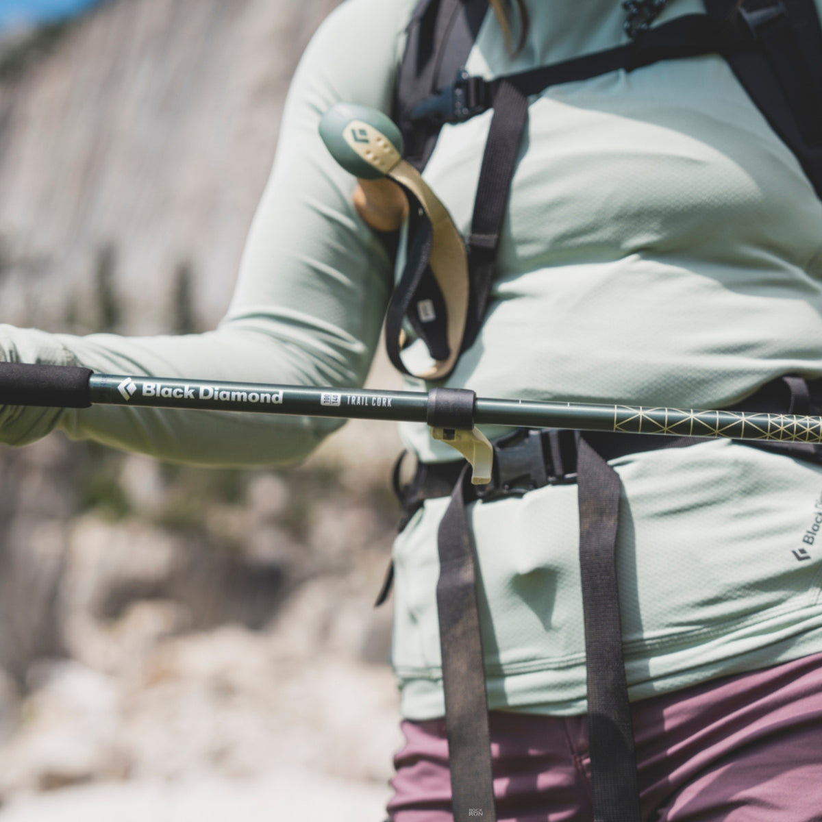 Black Diamond Trail Cork Trekking Poles