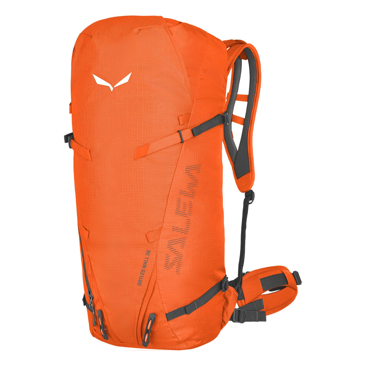 Salewa Ortles Wall 38L