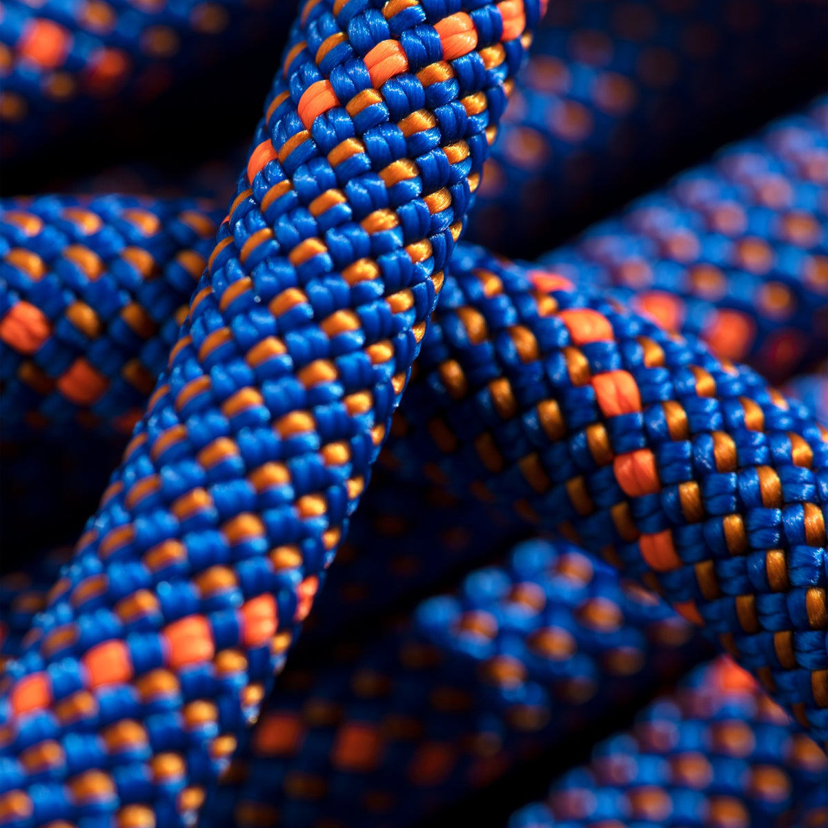Close-up of blue and orange climbing rope