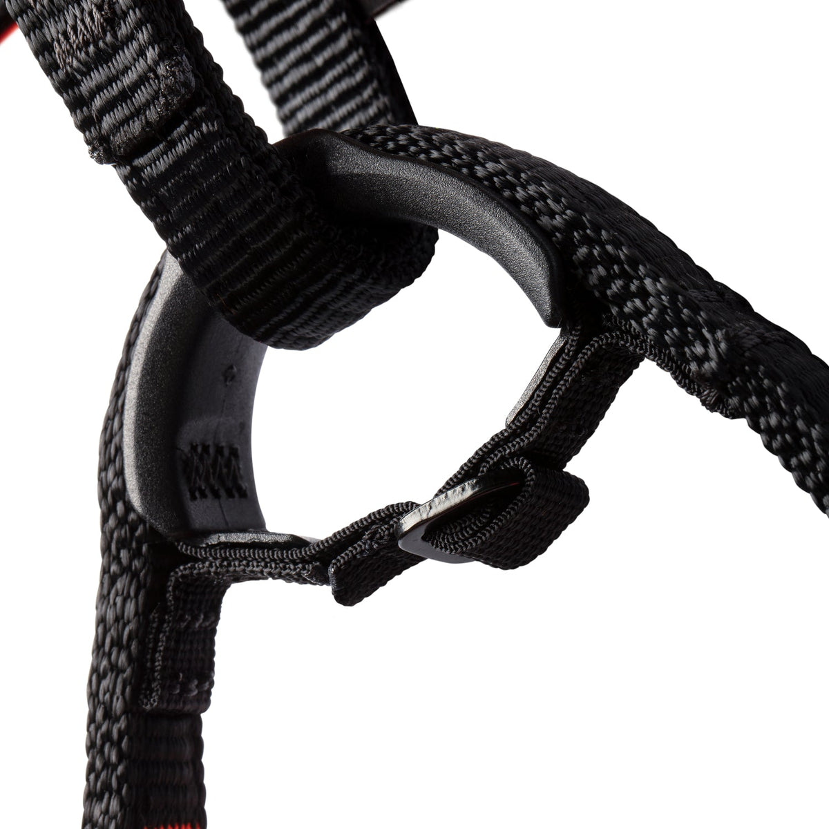 Mammut Sender Harness orange black, belay loop