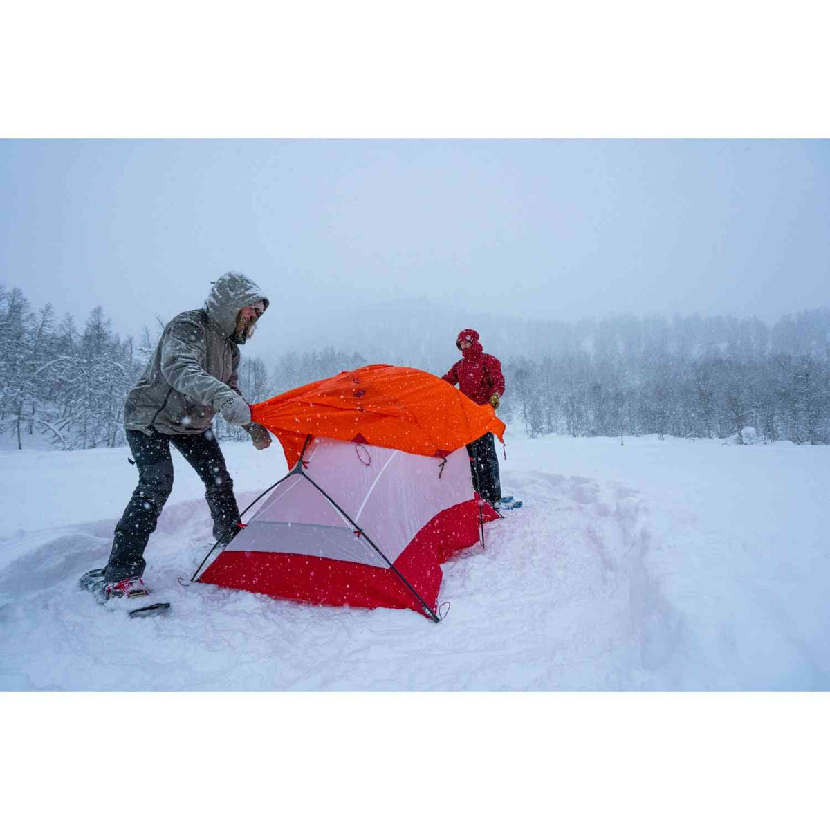 MSR Access 2 Tent