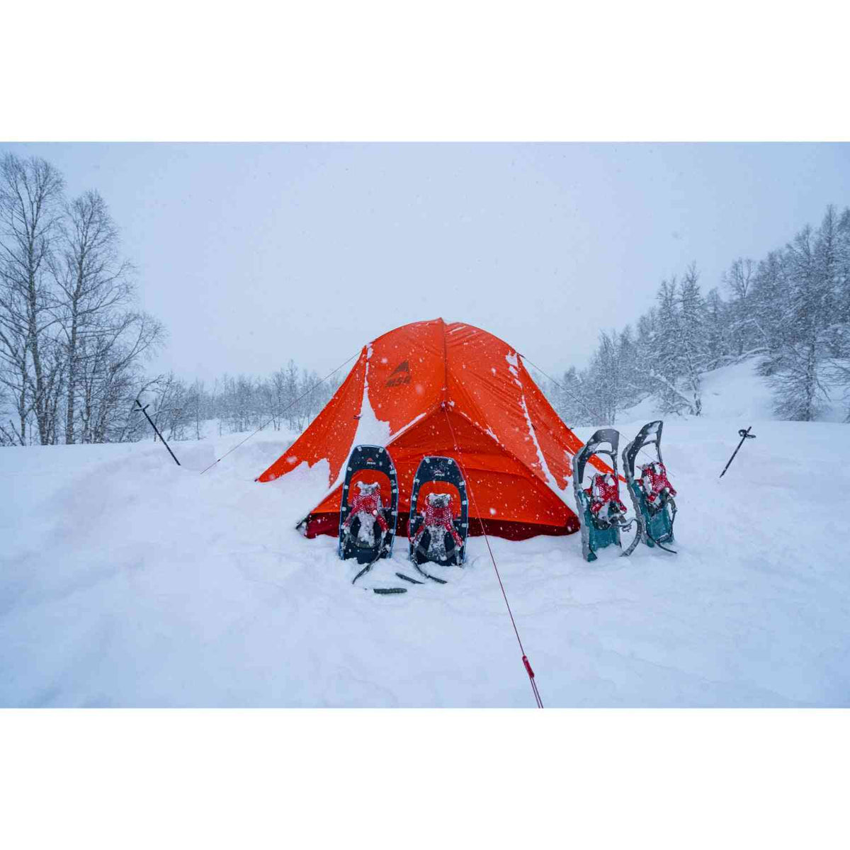 MSR Access 2 Tent