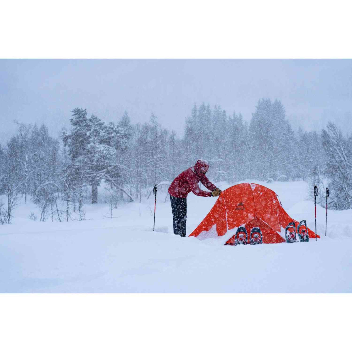 MSR Access 2 Tent
