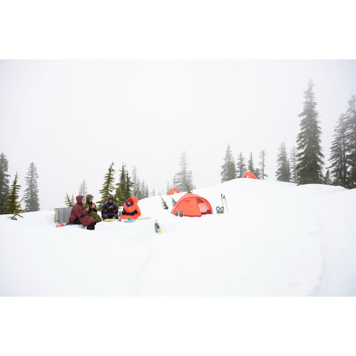 MSR Access 2 Tent