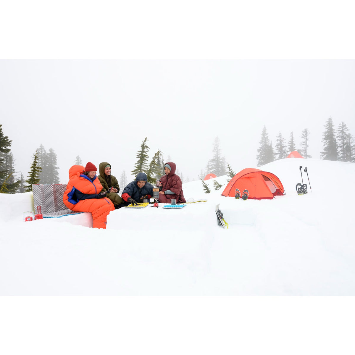 MSR Access 2 Tent