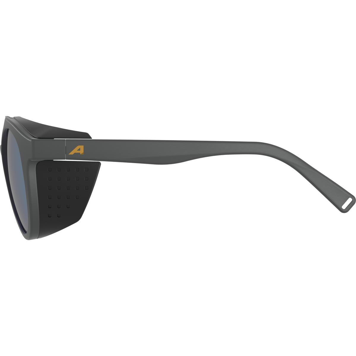 Alpina Glace P - Cat 3