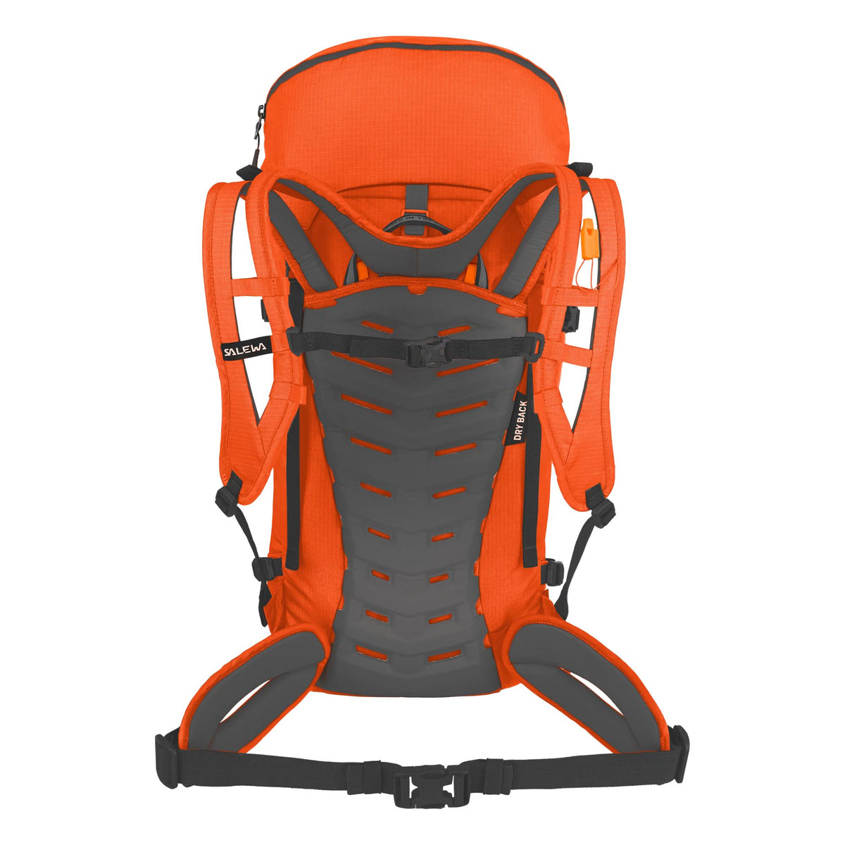 Salewa Ortles Guide 45L