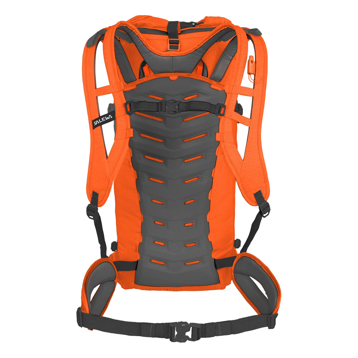 Salewa Ortles Wall 38L