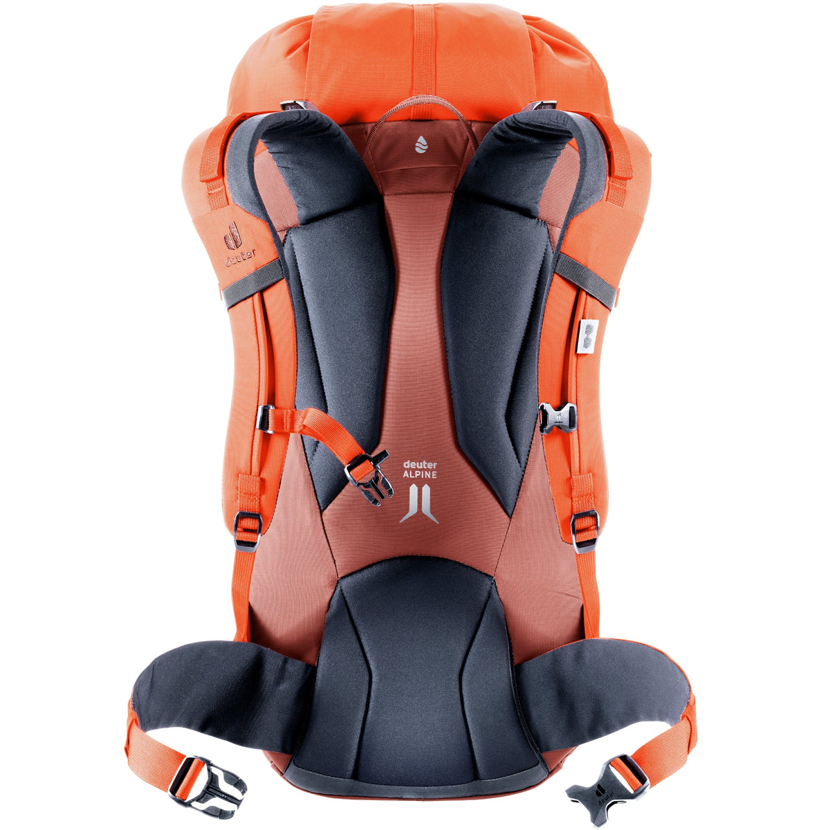 Deuter Guide 30 Redwood Papaya back