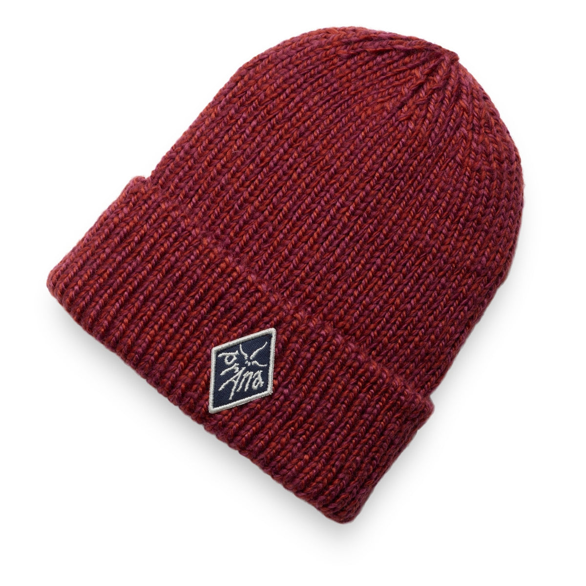 Prana Logo Beanie