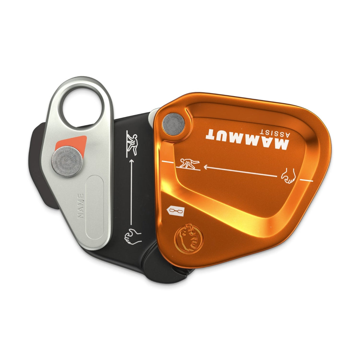 Mammut Assist Belay Resister