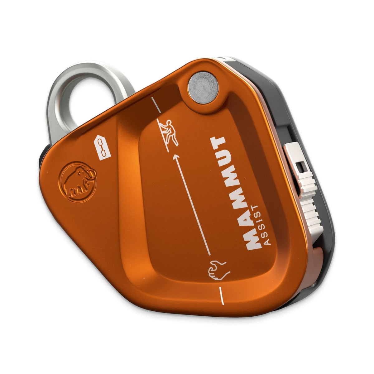Mammut Assist Belay Resister