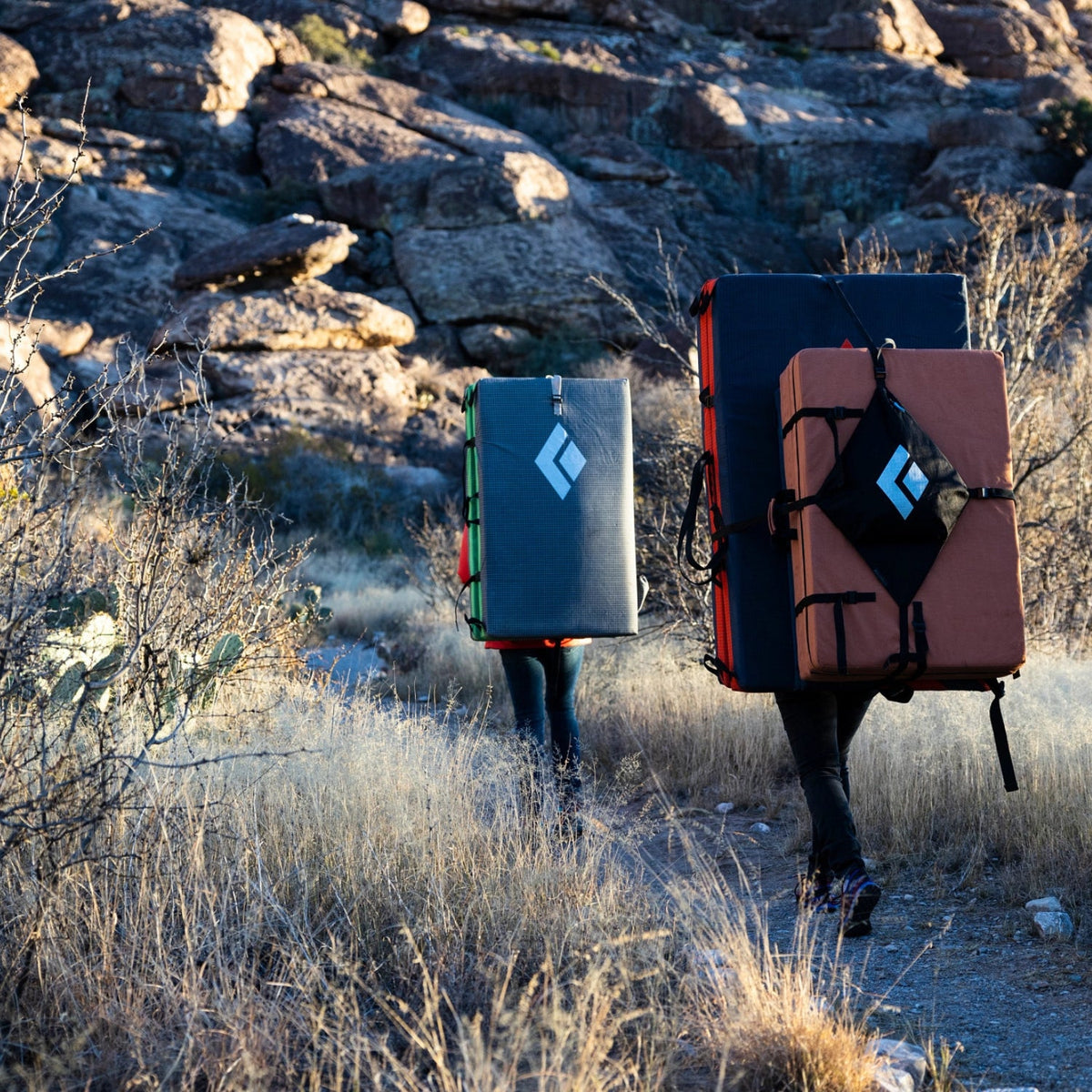 Black Diamond Piggyback Carrying System
