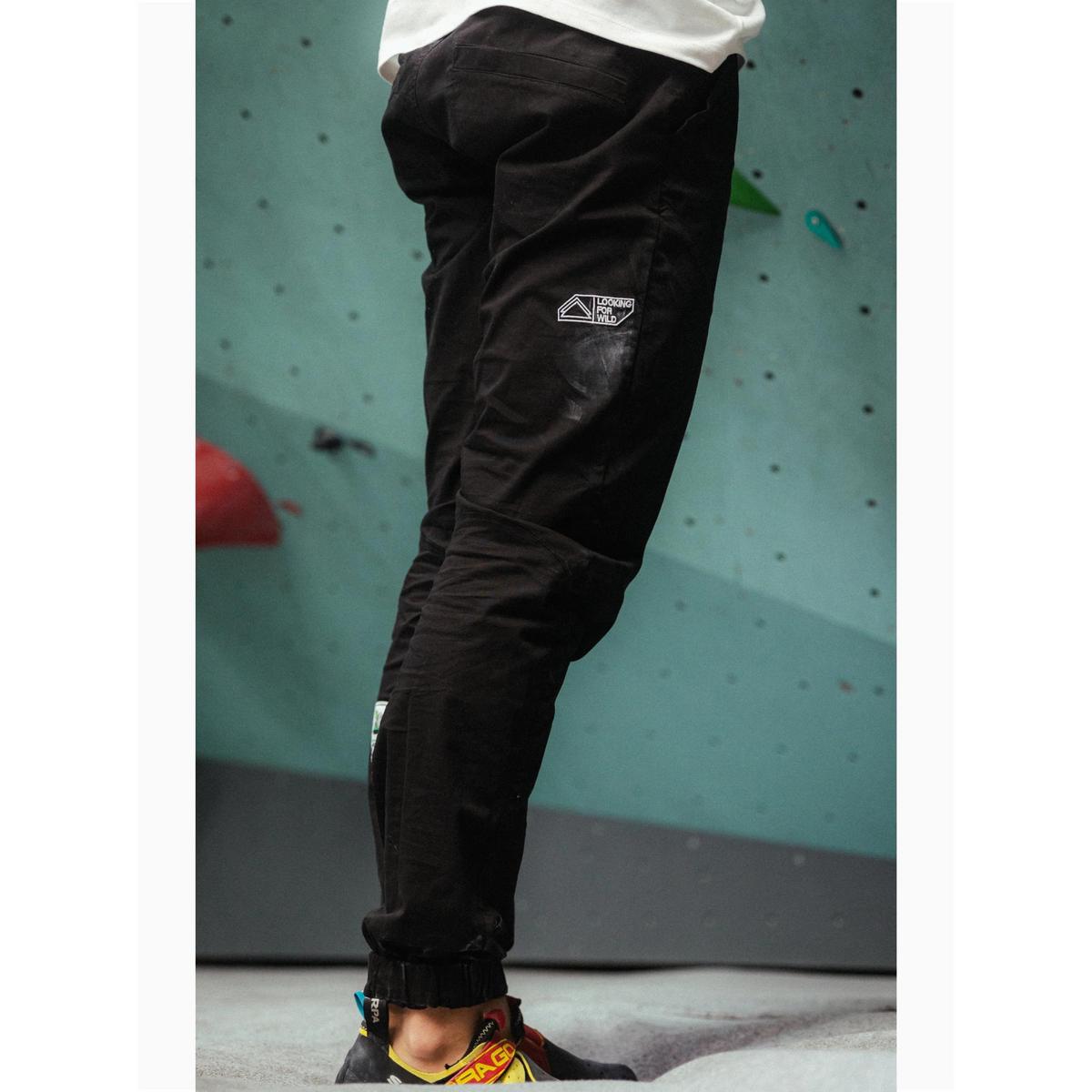 Looking For Wild Roy Pant - Men&#39;s