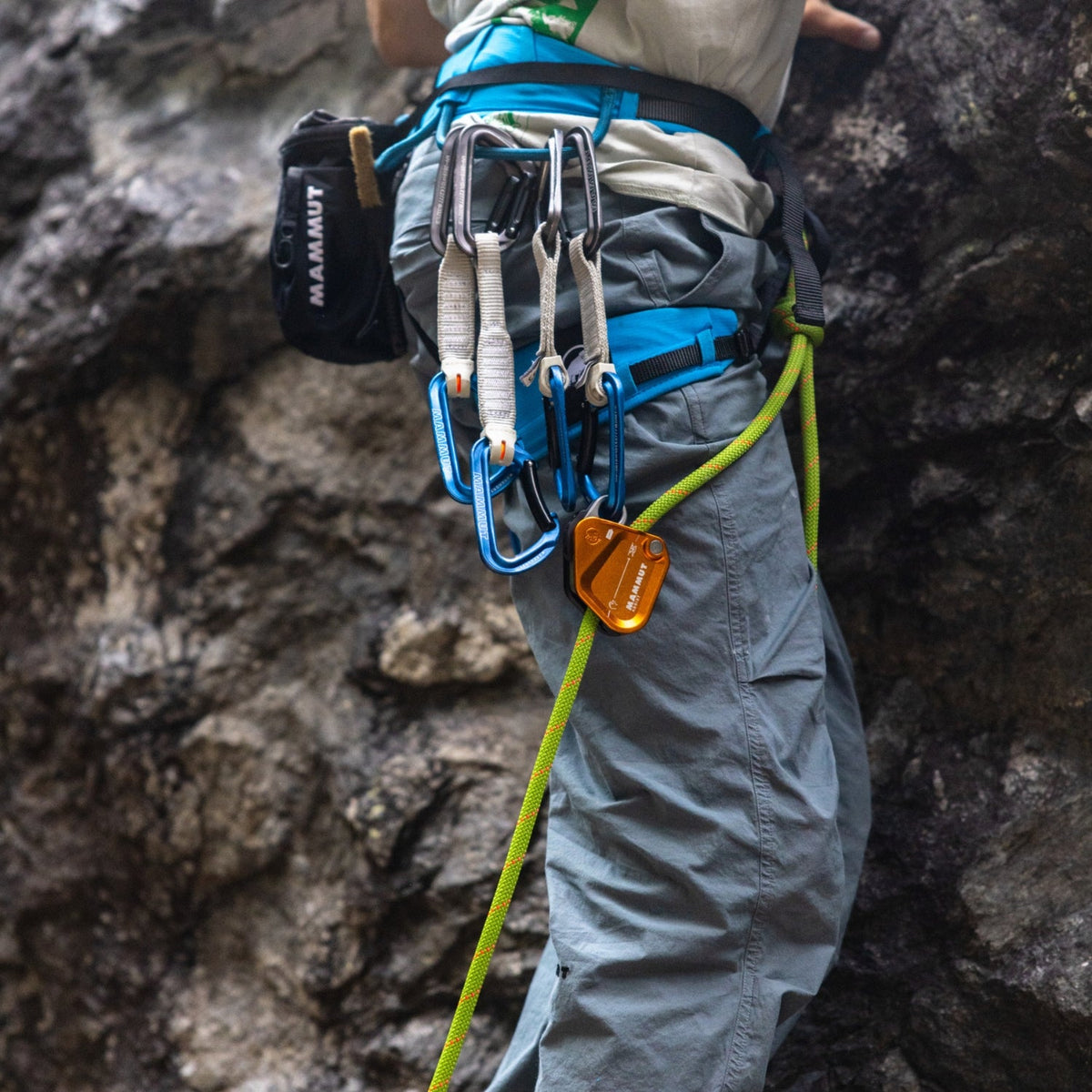 Mammut Assist Belay Resister
