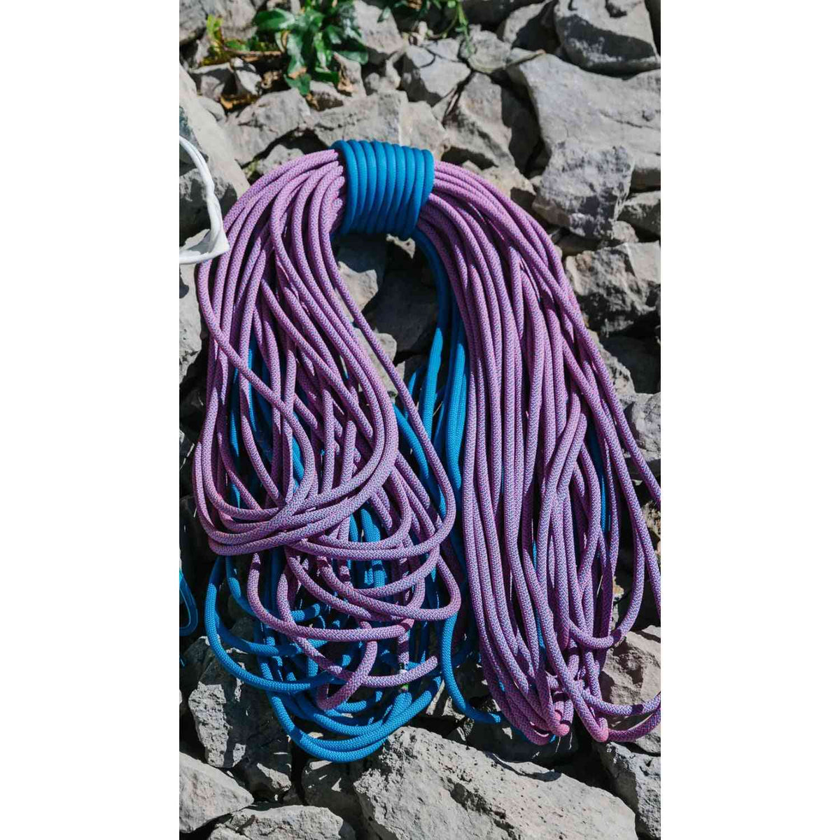 Edelrid Tommy Caldwell Eco Dry CT 9.3mm