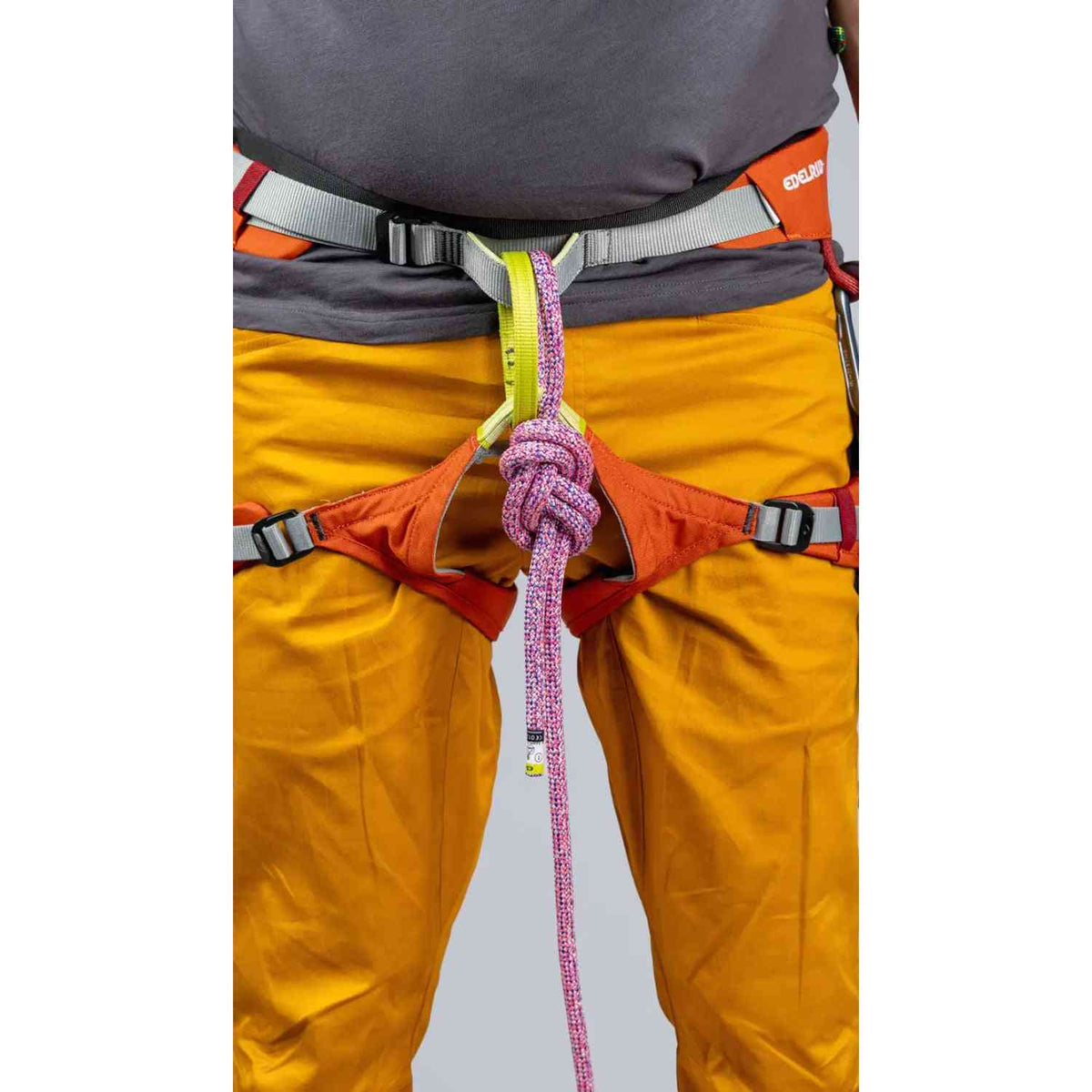 Edelrid Jay IV Harness