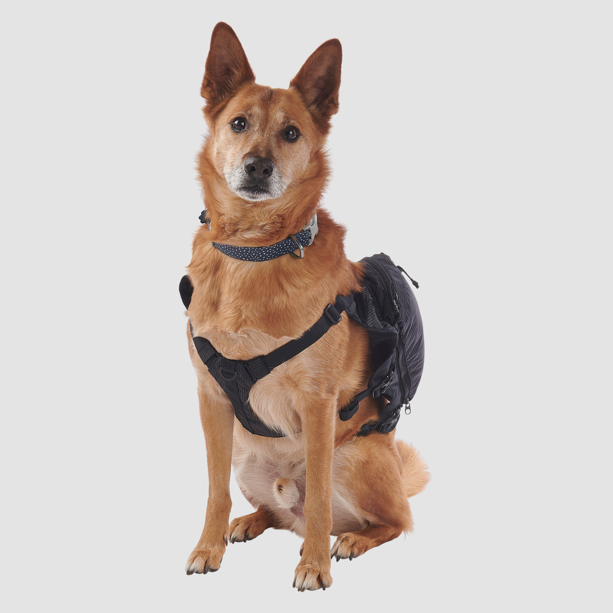 Ultimate Direction Dog Vest