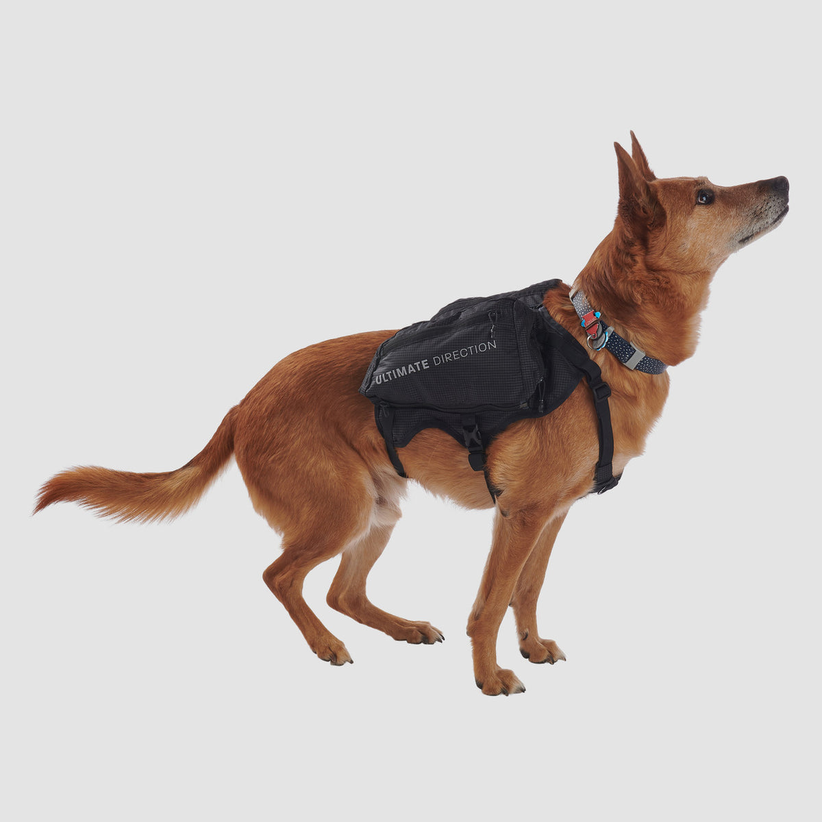 Ultimate Direction Dog Vest