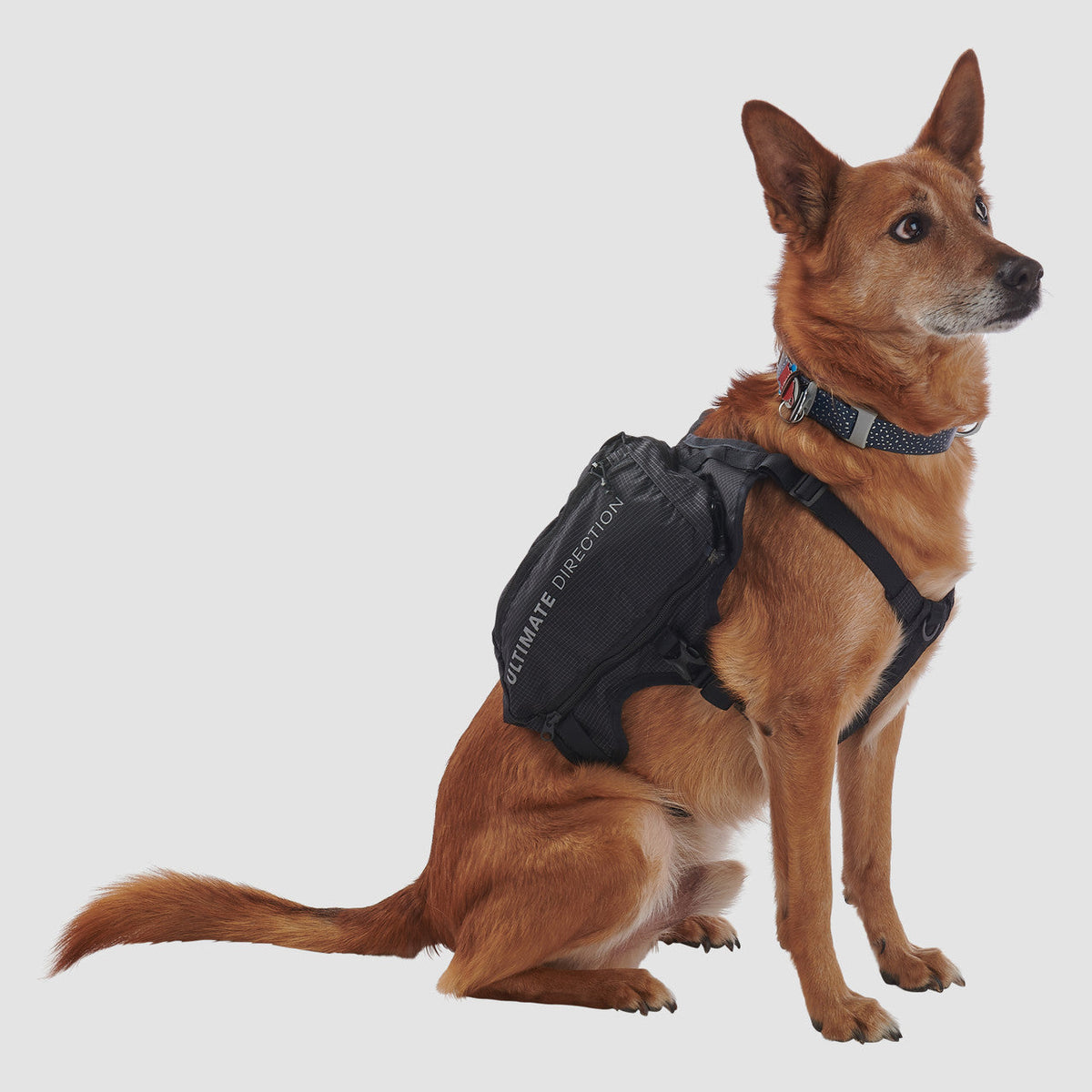 Ultimate Direction Dog Vest