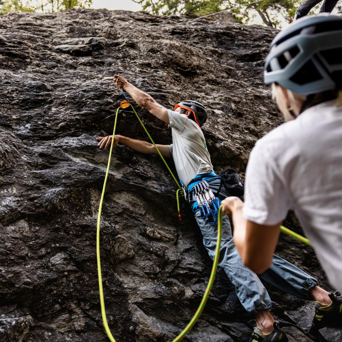 Mammut Assist Belay Resister