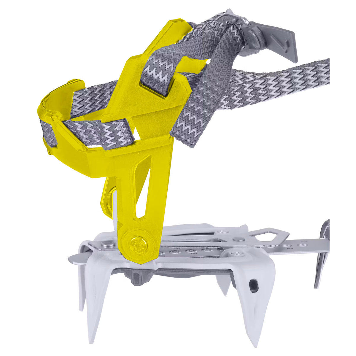 Salewa Alpinist Pro Crampon