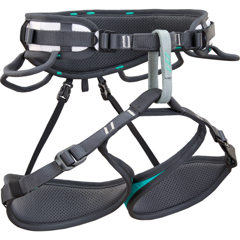 Climbing Technology Ascent Harness (Aquamarine / Anthracite)
