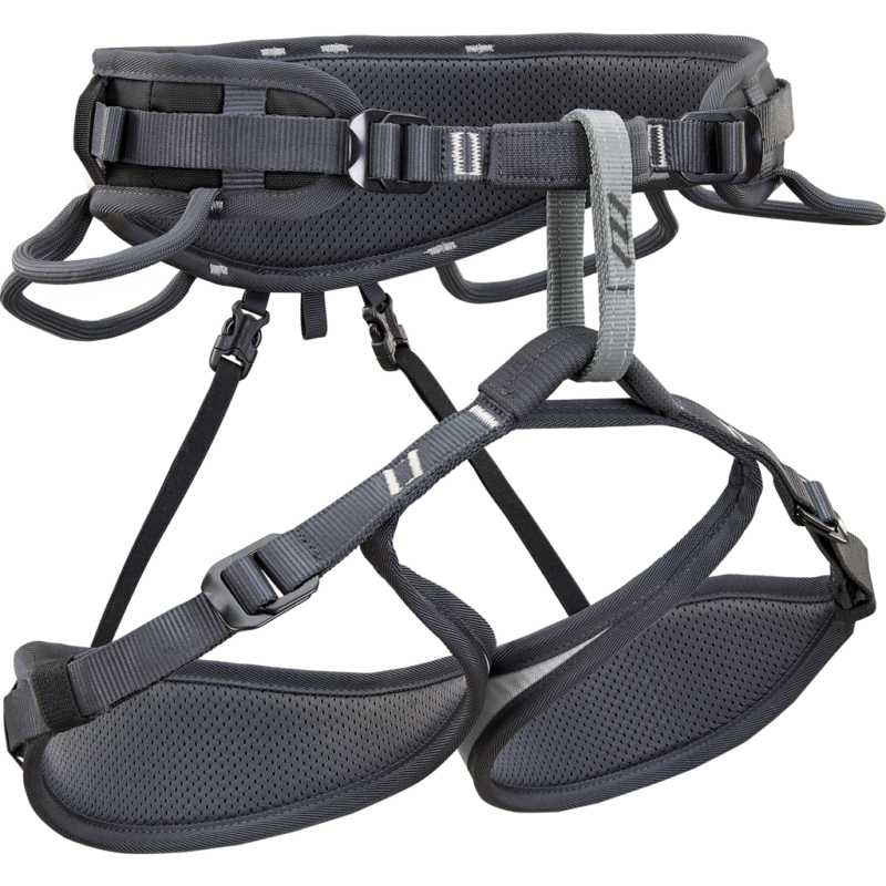 Climbing Technology Ascent Harness (Silver / Anthracite)