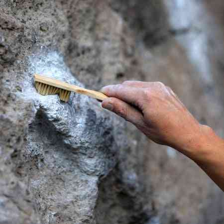 Metolius Bamboo Brush