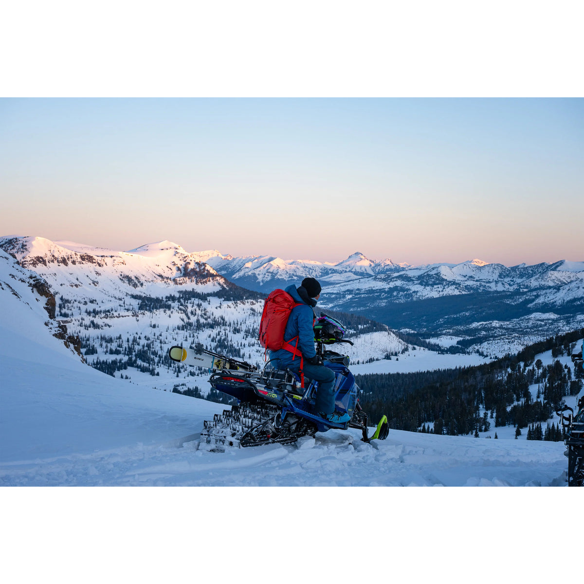 Blue Ice Firecrest 38L