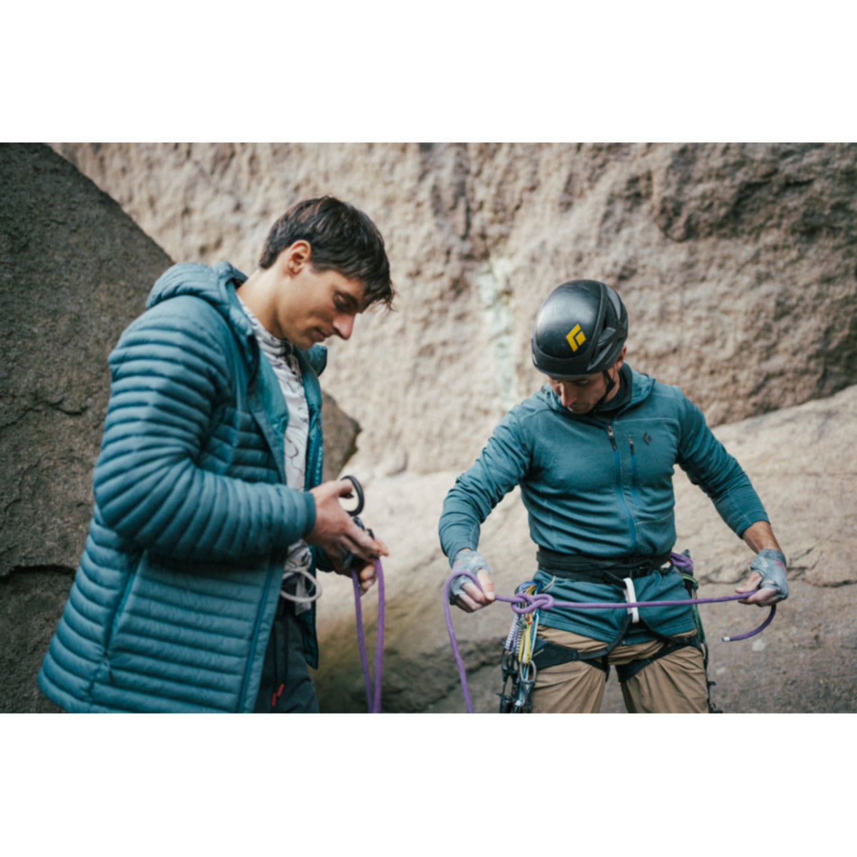 Black Diamond Solution Harness