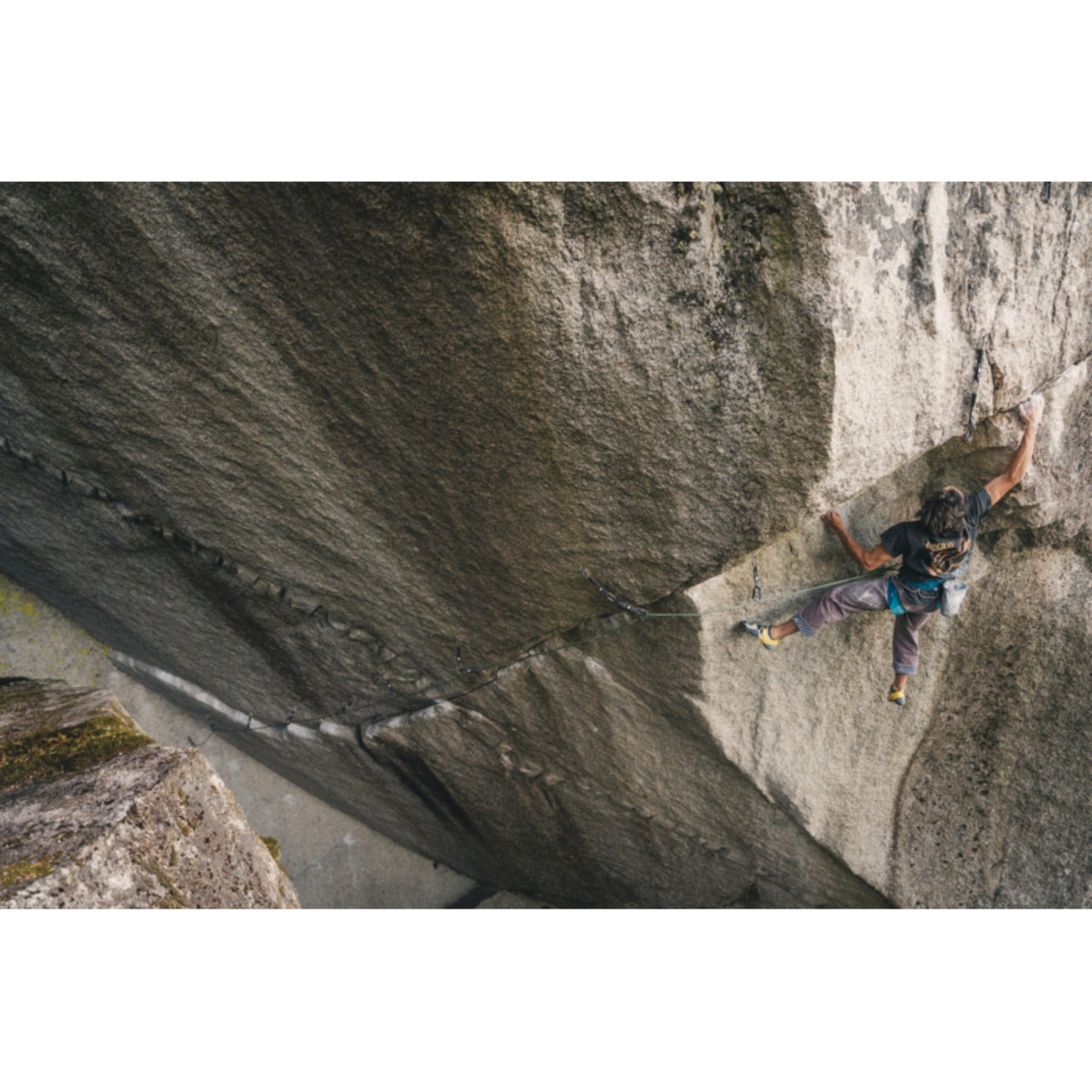 Black Diamond Solution Harness