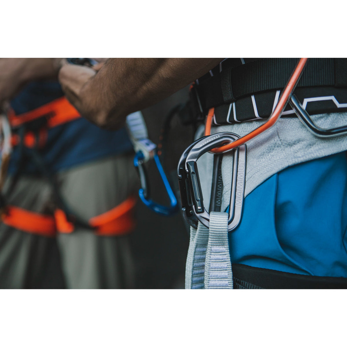 Mammut Workhorse Keylock Quickdraw (UKCA) on test