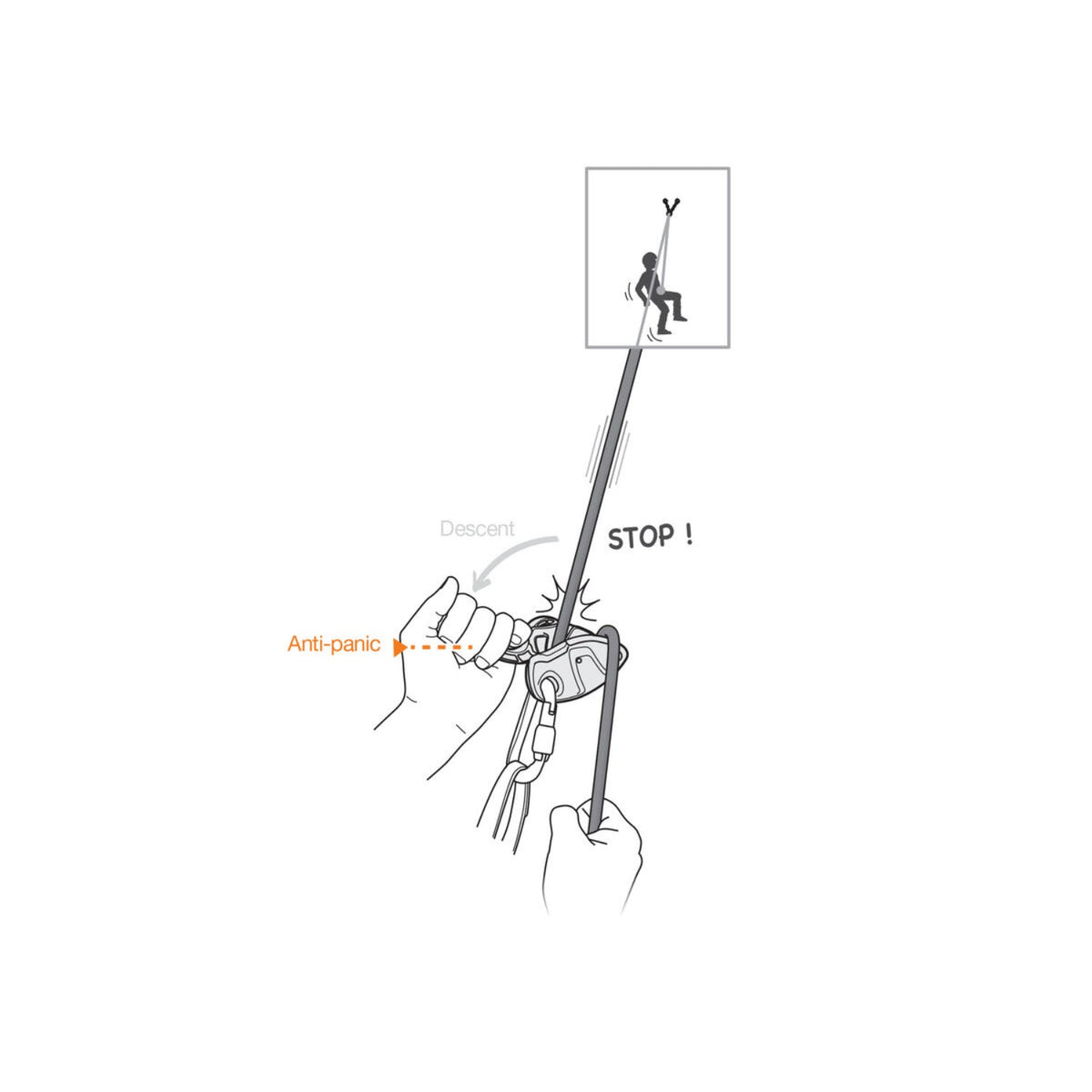 Petzl GRIGRI + (plus)
