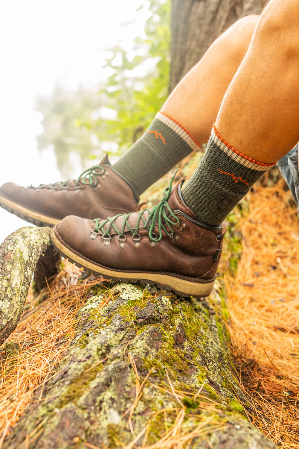 Darn Tough Mens Hiker Boot Sock Midweight Cushion