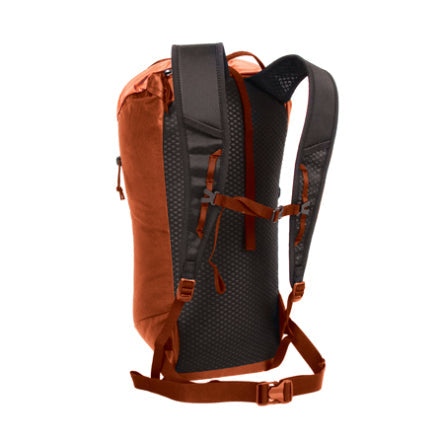 Blue Ice Dragonfly 26L red clay back