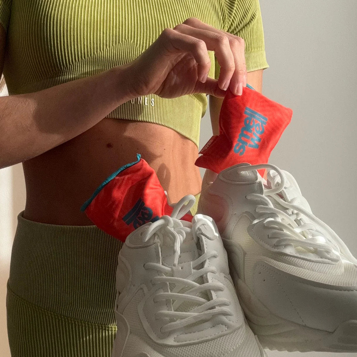 SmellWell Shoe Deodoriser