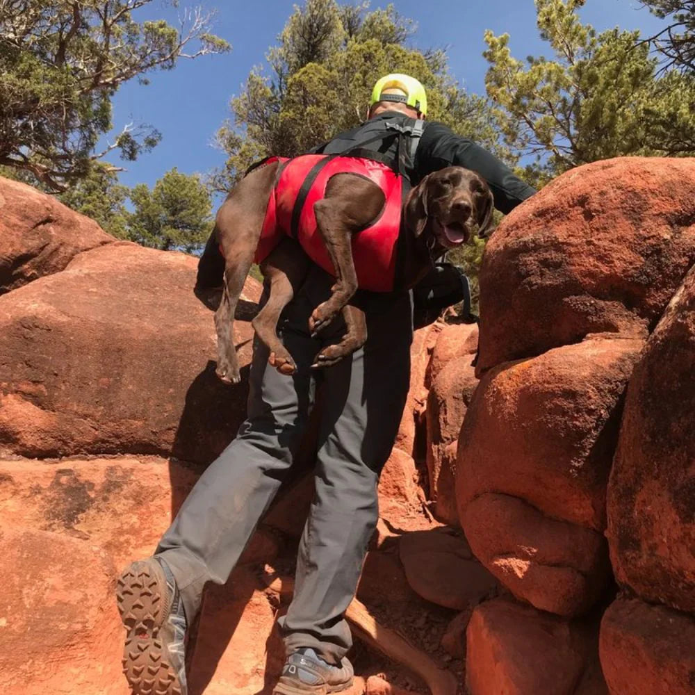 Fido Pro Fido Pro Airlift Harness-2 persons - Size 1 Size - Red