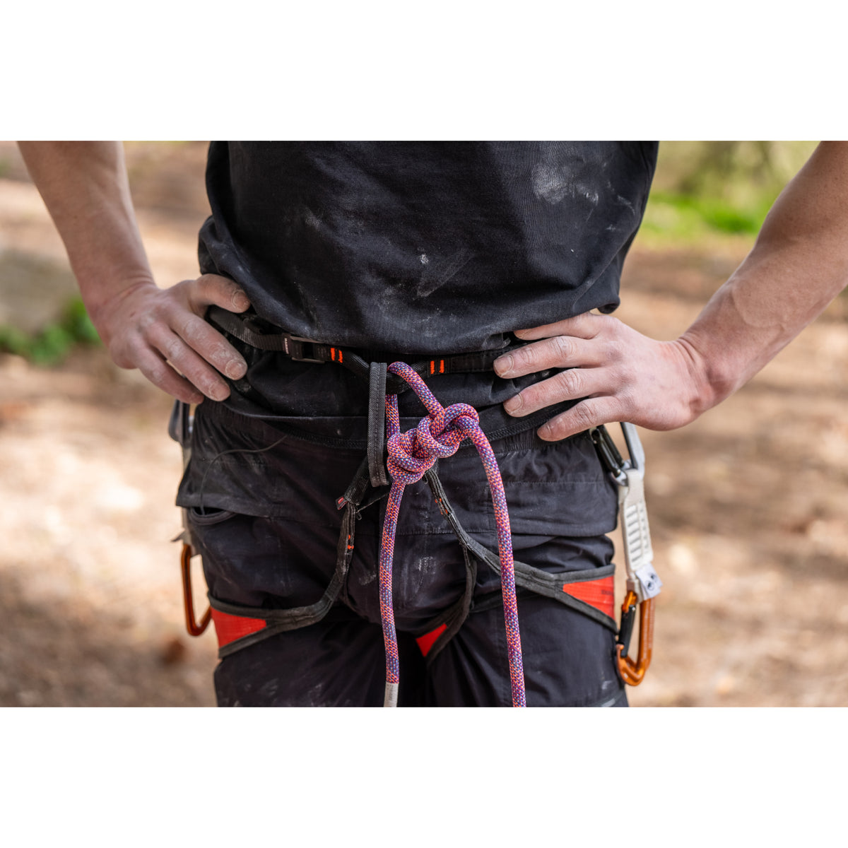 Mammut Adam Ondra Sender Light Harness